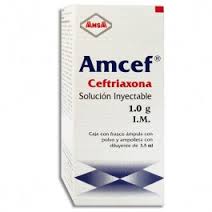 Amcef SOL INY 1g 10ml 10 ml, Ceftriaxone